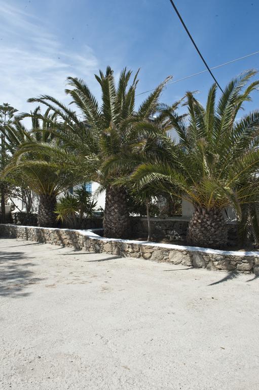 Filoxenia Apartments Ornos  Exterior photo